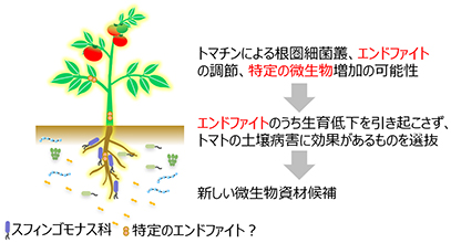 令和5年度 進捗状況 テクノスルガ・ラボ